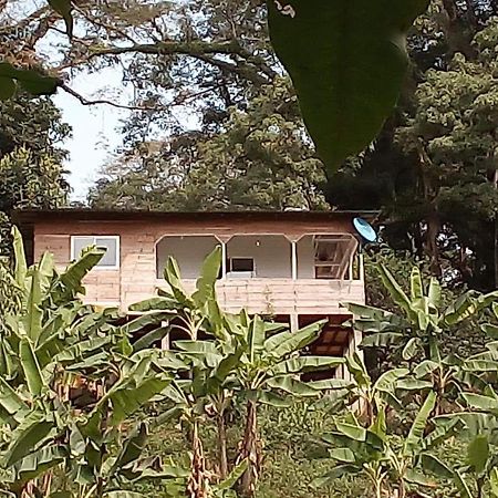 הוילה Santo António Casa De Andrea מראה חיצוני תמונה