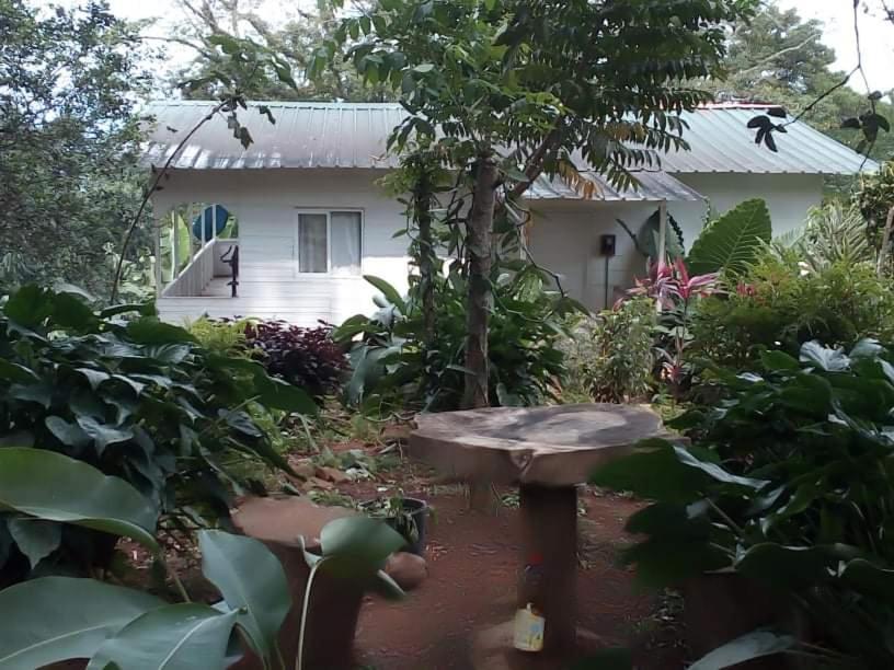 הוילה Santo António Casa De Andrea מראה חיצוני תמונה