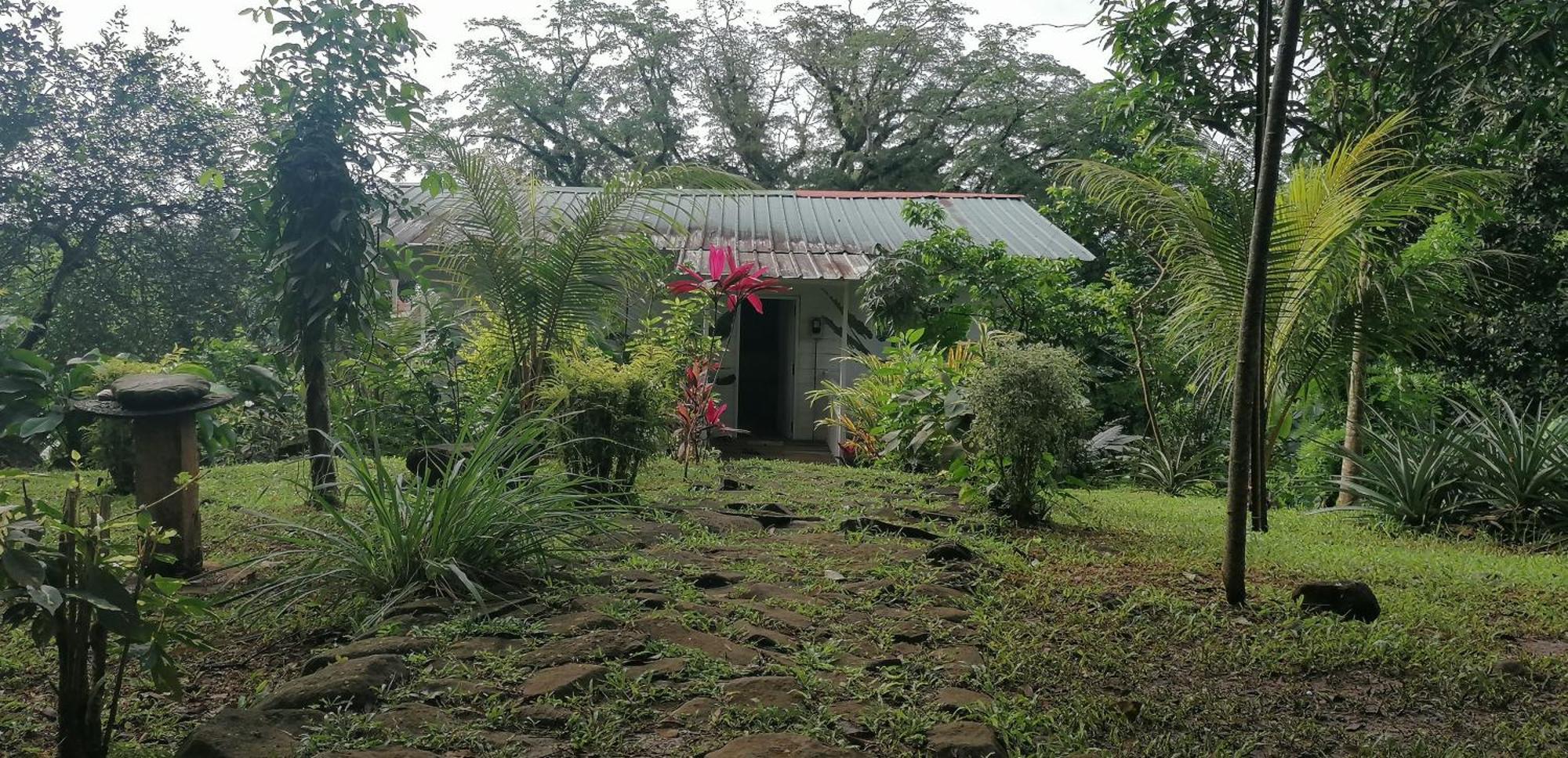 הוילה Santo António Casa De Andrea מראה חיצוני תמונה